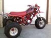 1982 ATC 250R by Chris